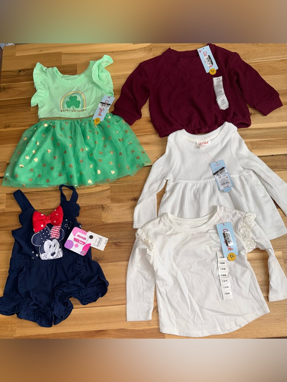 NWT Baby girl clothes bundle 18M